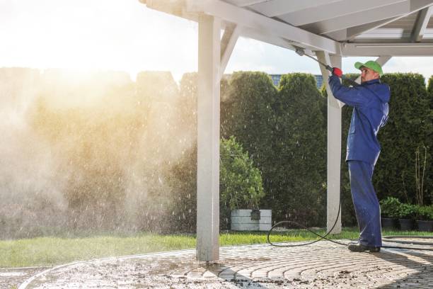 Animal Enclosure Cleaning in Difficult Run, VA